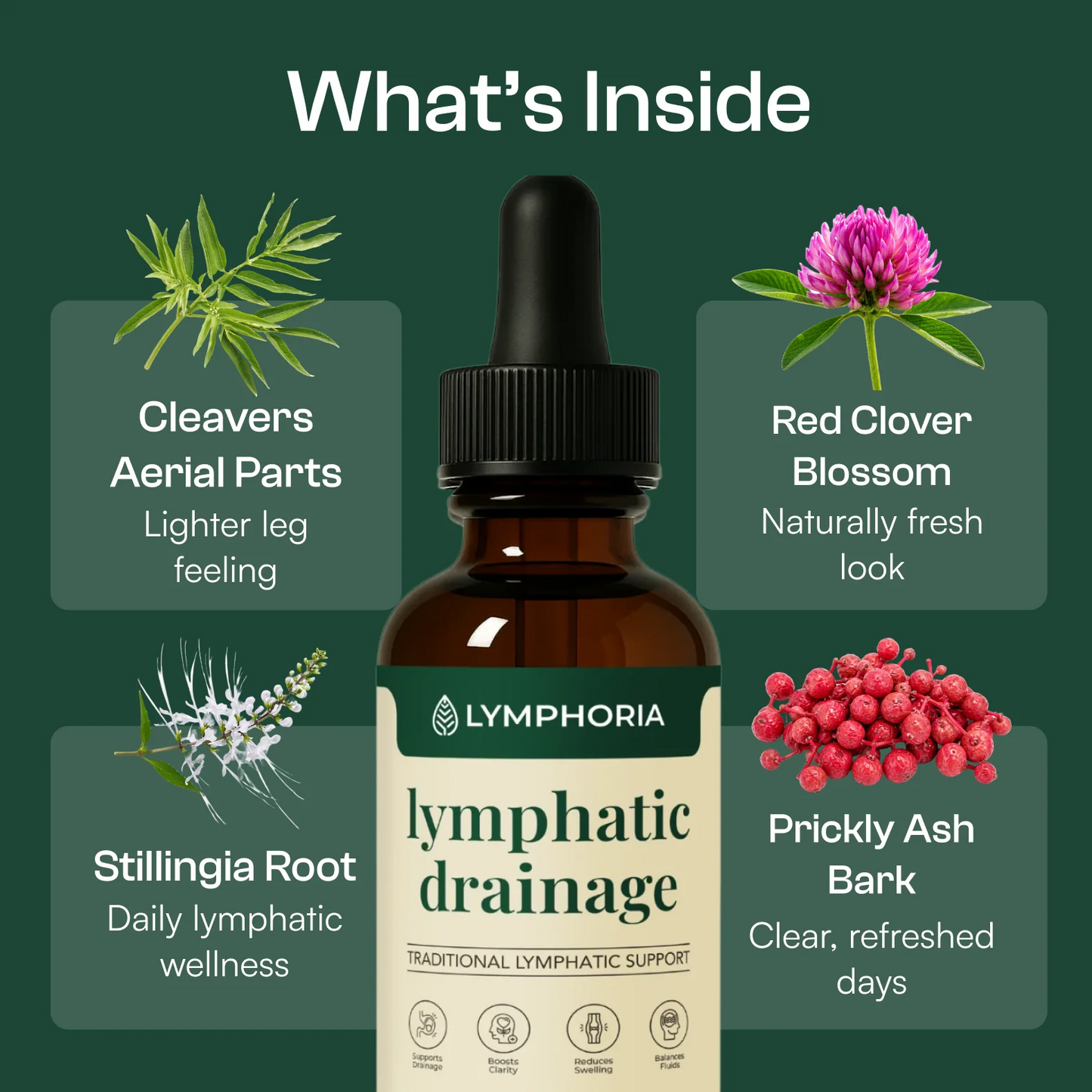 Lymphoria® Lymphatic Drainage Drops